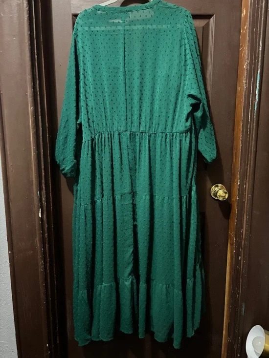 torrid Forest Green Textured Tiered Maxi Chiffon Swiss Dot Dress - Picture 4 of 12